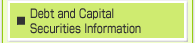 Debt and Capital Securities Information
