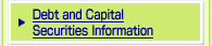 Debt and Capital Securities Information