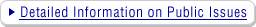 Detailed Information on Public Issues