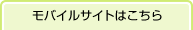 ���o�C���T�C�g�͂�����