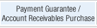 Payment Guarantee / Account Receivable Purchase