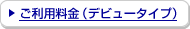 �����p�����i�f�r���[�^�C�v�j