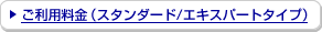�����p�����i�X�^���_�[�h/�G�L�X�p�[�g�^�C�v�j
