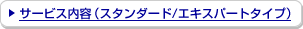 �T�[�r�X���e�i�X�^���_�[�h/�G�L�X�p�[�g�^�C�v�j