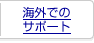 �C�O�ł̃T�|�[�g