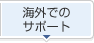 �C�O�ł̃T�|�[�g