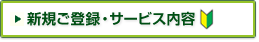 �V�K���p�\������