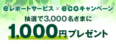ANAマイルプレゼントキャンペーン