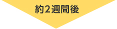 約2週間後