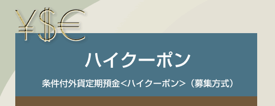 ハイクーポン 条件付外貨定期預金<ハイクーポン>(募集方式)