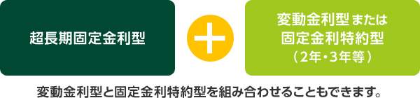 超長期固定金利型プラス変動金利型 または 固定金利特約型(2年・3年等)。変動金利型と固定金利特約型を組み合わせることもできます。