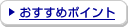 �������߃|�C���g