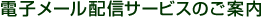 �d�q���[���z�M�T�[�r�X�̂��ē�