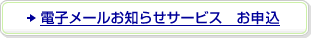 �d�q���[�����m�点�T�[�r�X ���\��