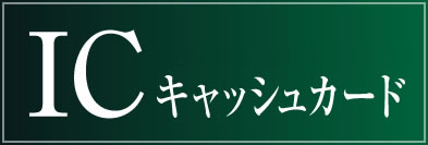 �Z�L�����e�B����̐V�X�^���_�[�h