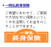 キャンペーン情報1
