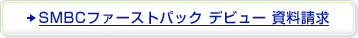 SMBC�t�@�[�X�g�p�b�N �f�r���[ ��������
