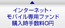 �C���^�[�l�b�g�E���o�C����p�t�@���h
