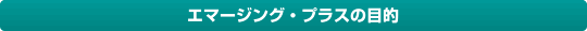 �G�}�[�W���O�E�v���X�̖ړI