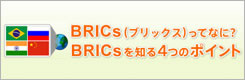 BRICs(ブリックス)ってなに? ブリックスを知る4つのポイント