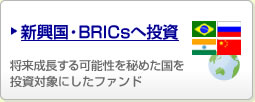 新興国・BRICsへ投資 将来成長する可能性を秘めた国を投資対象にしたファンド