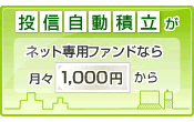 キャンペーン情報3
