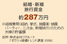 �����E�V�����s�����@��287���~�@������p�i���[�A�����A��I���E��I�p�[�e�B�[�A�񎟉�A�V�����s�j�̂��߂̕v�w�̒��~�z�@�o���F������Ѓ��N���[�g�u�[�N�V�B�����g�����h���� 2009�v