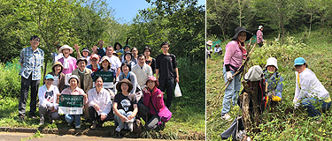 山の自然学クラブの富士山保全活動