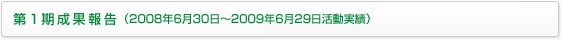 1ʕ񍐁i2009N630`2010N630сj