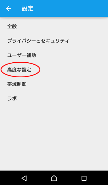 「高度な設定」や「その他」といったメニューを選択する。