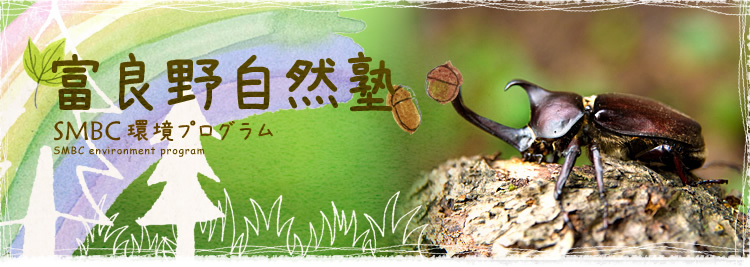 xǖ쎩Rm@SMBCvO