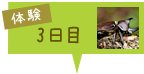 ̌3