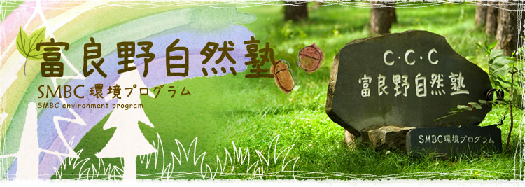 xǖ쎩Rm@SMBCvO