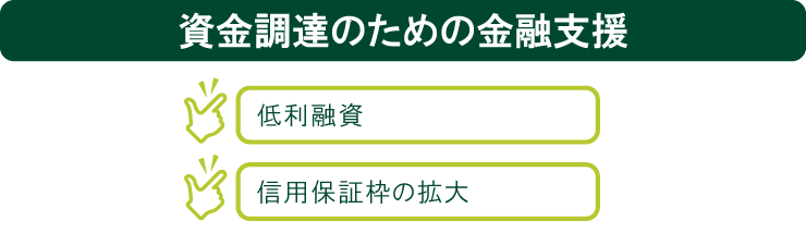 資金調達のための金融支援