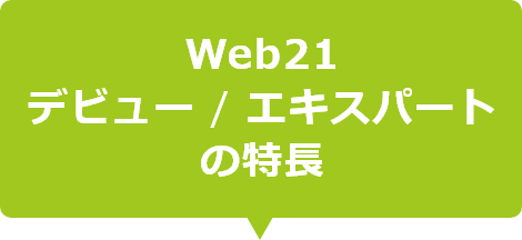 Web21fr[ / X^_[h̓