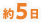 約5日