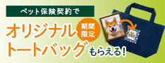 ペット保険オリジナルトートバックキャンペーン