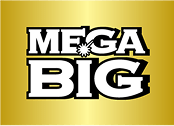MEGABIG