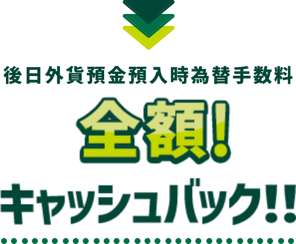 Oݗaaב֎萔SzILbVobNII
