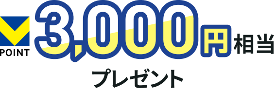 V�|�C���g 3,000�~�����v���[���g