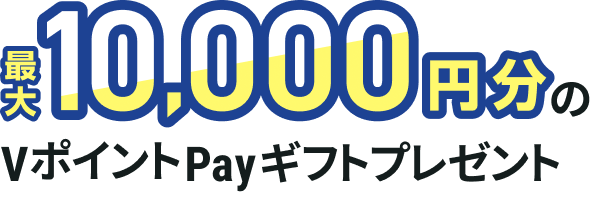 �ő�10,000�~����V�|�C���gPay�M�t�g�v���[���g
