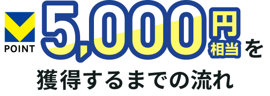 V�|�C���g 5,000�~�������l������܂ł̗���