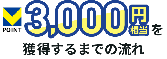 V�|�C���g 3,000�~�������l������܂ł̗���