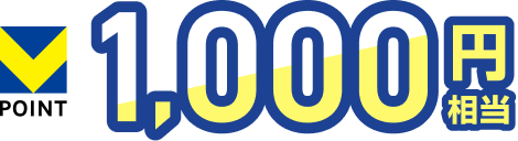 V�|�C���g 1,000�~����