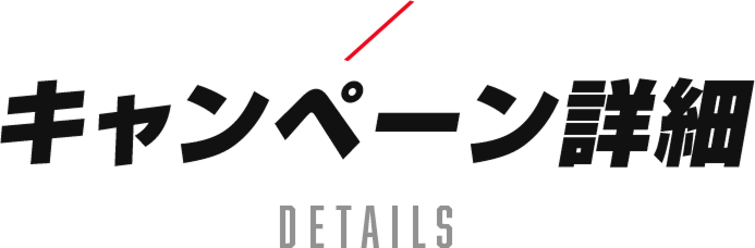 �L�����y�[���ڍ�