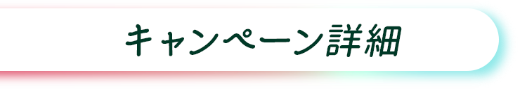 �L�����y�[���ڍ�