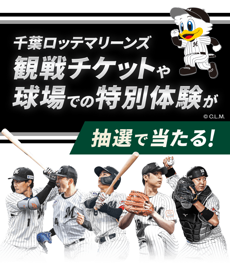 ��t���b�e�}���[���Y�ϐ�`�P�b�g�⋅��ł̓��ʑ̌������I�œ�����I