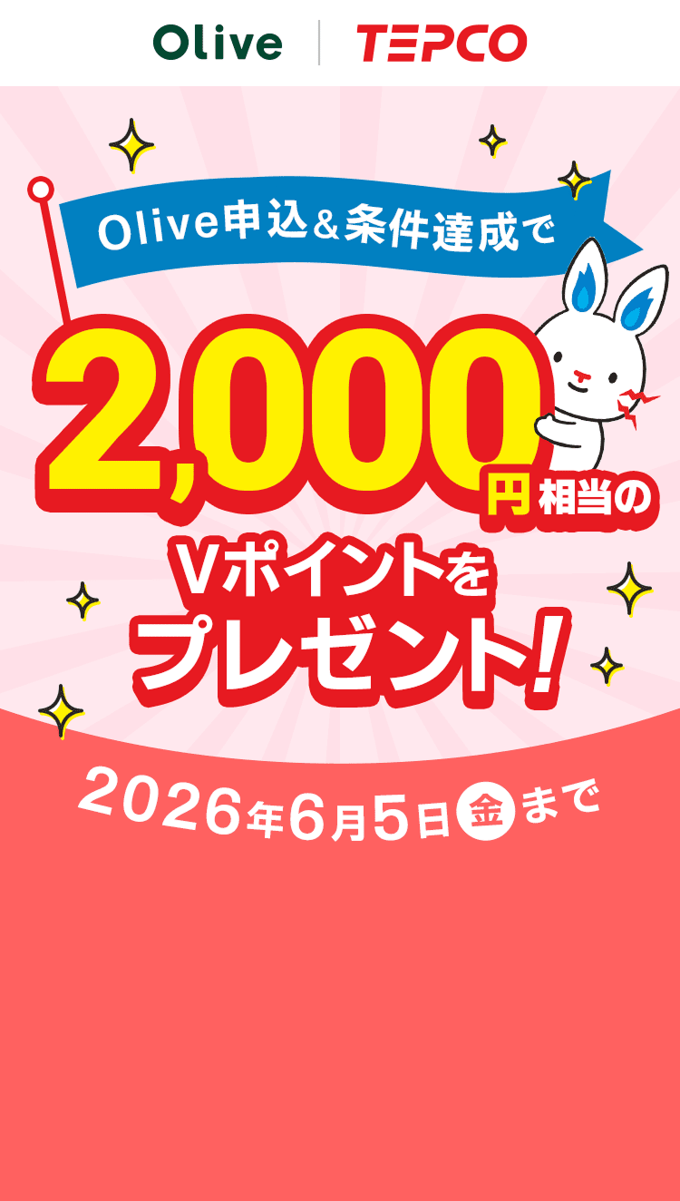 Olive TEPCO Olive�\���������B����2,000�~������V�|�C���g���v���[���g�I2026�N6��5���i���j�܂�