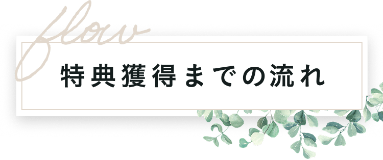 特典獲得までの流れ