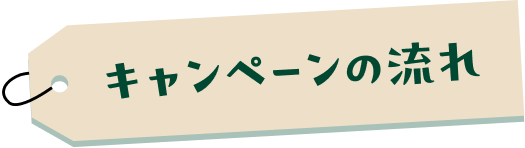 �L�����y�[���̗���